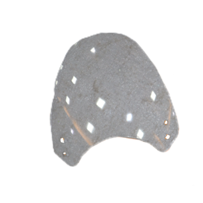 Visor with Clamp Kit