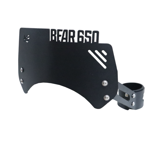 Metal Visor